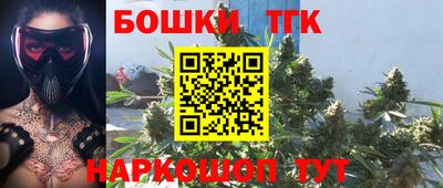тгк Кохма