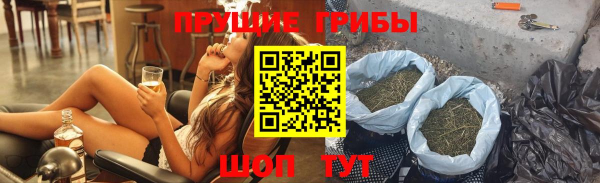 Псилоцибиновые грибы ЛСД Бузулук