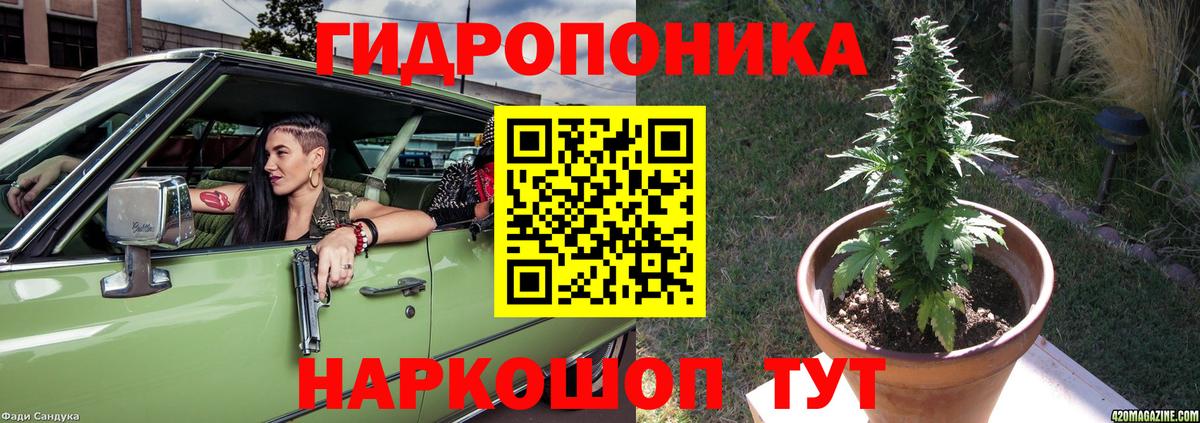 Шишки марихуана ГИДРОПОН  Конопля марихуана  Вход с VPN  МАРИХУАНА THC 21%  Бузулук 